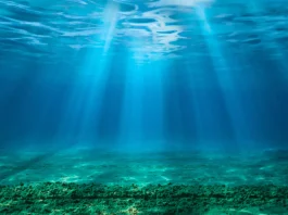 CO2 Ocean