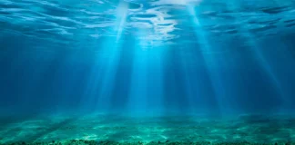 CO2 Ocean