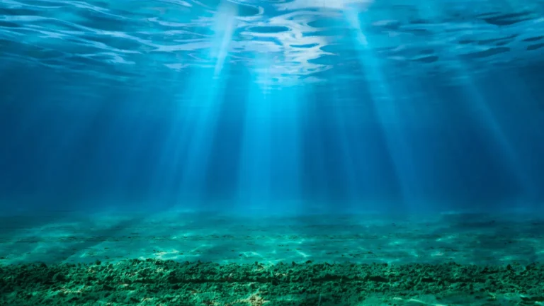 CO2 Ocean