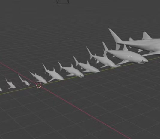 σώμα καρχαριών μαθηματικό κανόνα