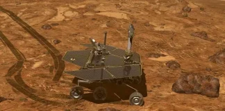 Opportunity