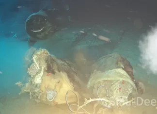 κοιμώμενοι καρχαρίες