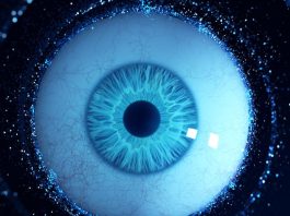 15 δευτερόλεπτα παρελθόν