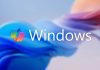 Windows 2030