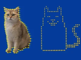 βίντεο γάτας άτομα