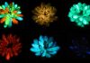 glowing plants