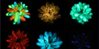 glowing plants