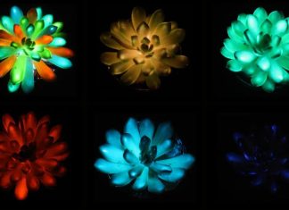 glowing plants