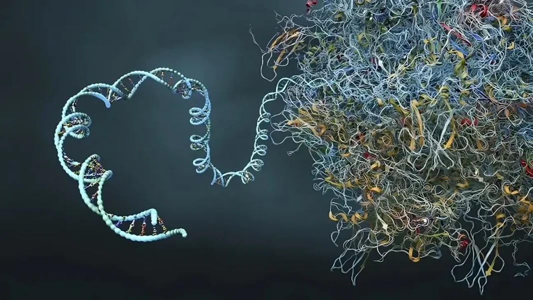 mRNA