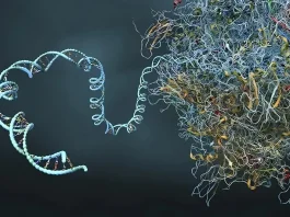 mRNA