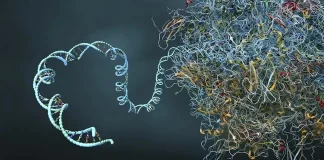 mRNA