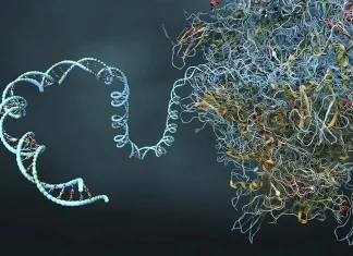 mRNA