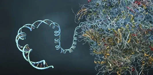 mRNA