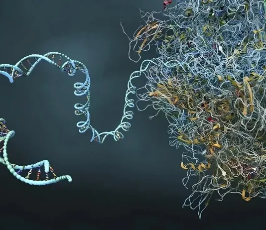mRNA