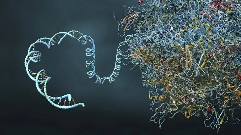 mRNA