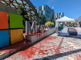 microsoft παλαιστίνη