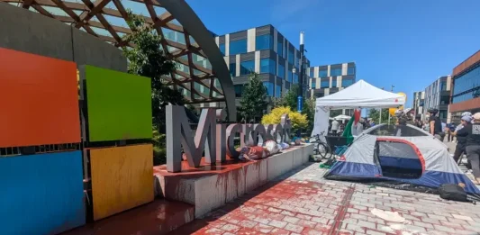 microsoft παλαιστίνη
