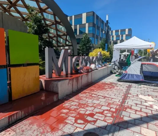 microsoft παλαιστίνη