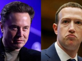 musk zuckerberg openai