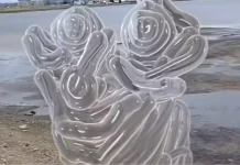 Σχιζοφρένεια