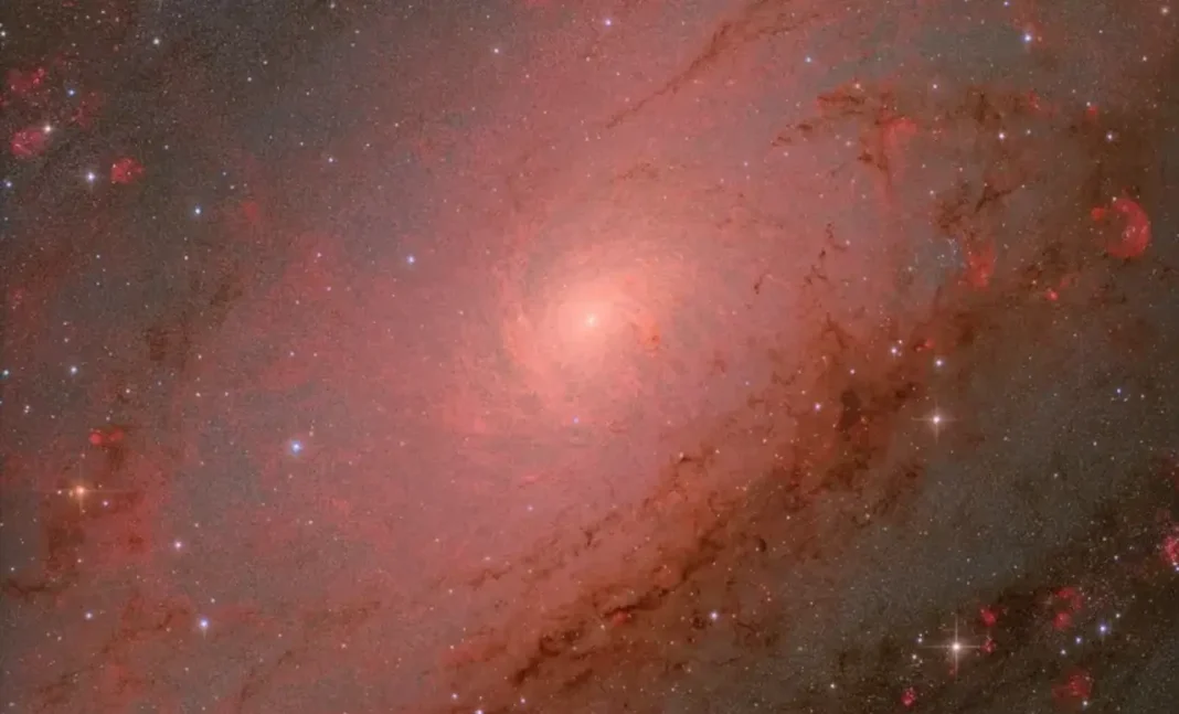 ZWO Astronomy Photographer of the Year