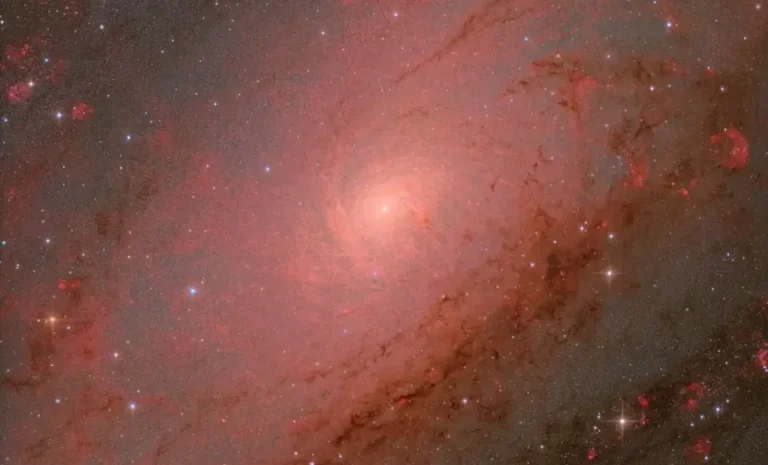 ZWO Astronomy Photographer of the Year