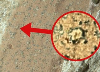 εδώ βρήκαν ζωή Άρη