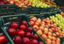 φυτοφάρμακα