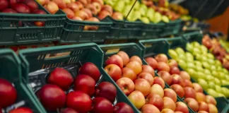 φυτοφάρμακα