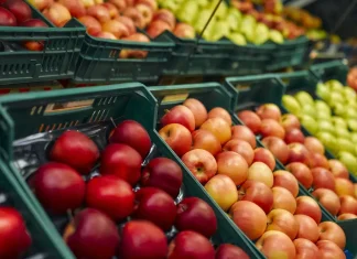 φυτοφάρμακα