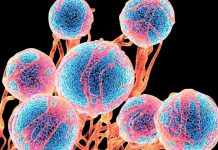 Γιατί αντιμετωπίζουμε μεγαλύτερο κίνδυνο καρκίνου από τους γονείς μας! κίνδυνο καρκίνου