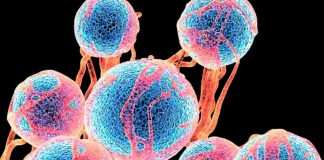 Γιατί αντιμετωπίζουμε μεγαλύτερο κίνδυνο καρκίνου από τους γονείς μας! κίνδυνο καρκίνου