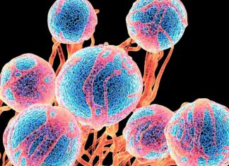 κίνδυνο καρκίνου