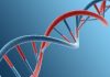 Google DNA