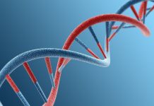 Google DNA