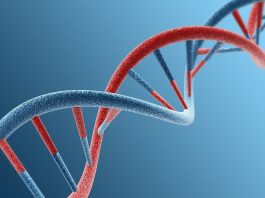Google DNA