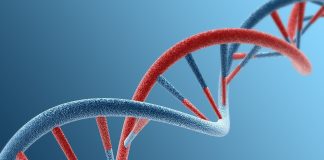 Google DNA