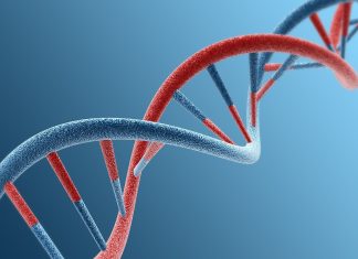 Google DNA