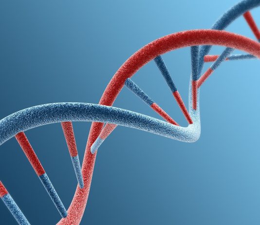 Η Google του DNA: Η νέα πλατφόρμα αναζήτησης γενετικού κώδικα Google DNA