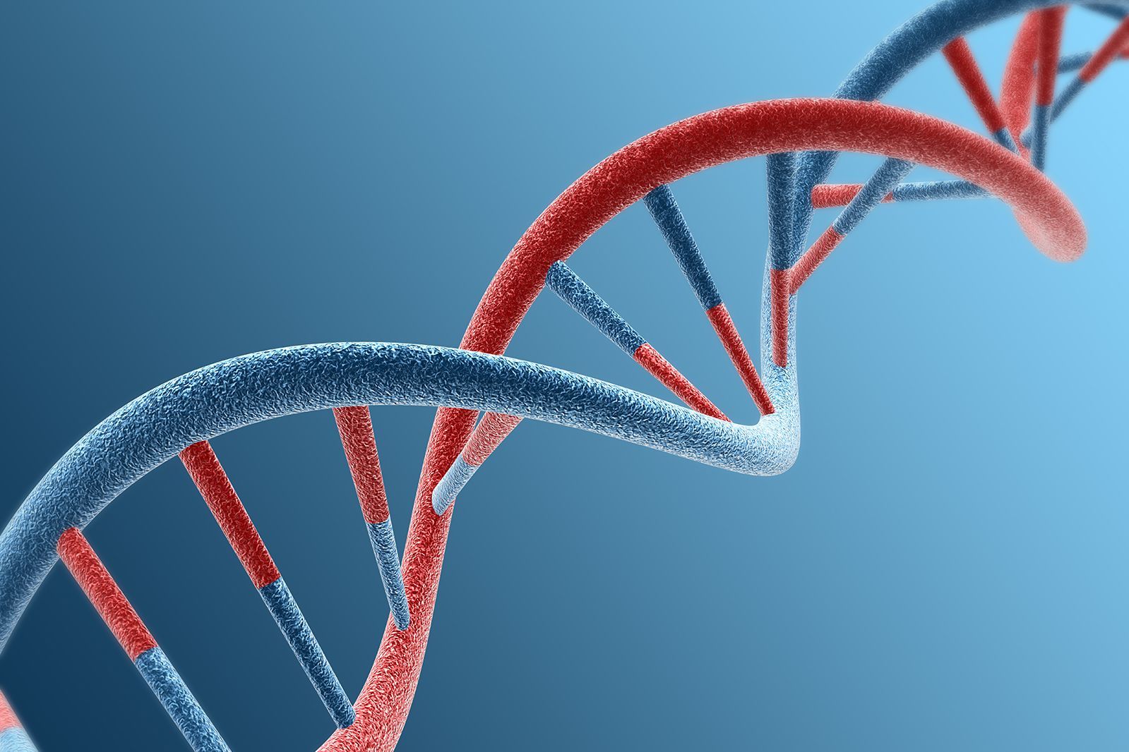 Google DNA