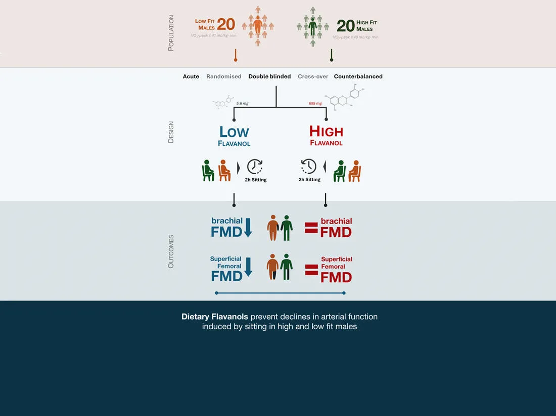 φλαβανόλες