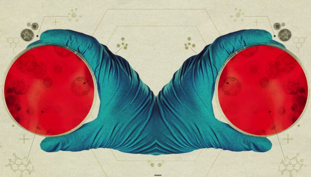 mirror cell ζωή - καθρέπτης