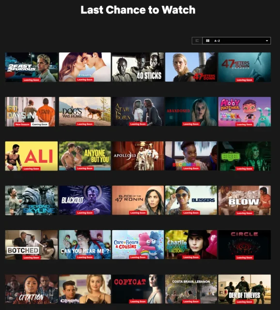 Last Chance to Watch Netflix