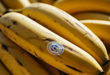 Ο καλύτερος επεξεργαστής φωτογραφιών της Google δωρεάν σε κάθε smartphone επεξεργαστής φωτογραφιών της Google