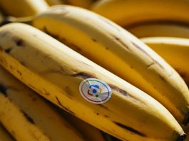 Ο καλύτερος επεξεργαστής φωτογραφιών της Google δωρεάν σε κάθε smartphone επεξεργαστής φωτογραφιών της Google