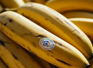 επεξεργαστής φωτογραφιών της Google