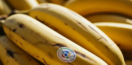 Ο καλύτερος επεξεργαστής φωτογραφιών της Google δωρεάν σε κάθε smartphone επεξεργαστής φωτογραφιών της Google