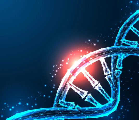 Είδαν το DNA για πρώτη φορά να διορθώνεται σε πραγματικό χρόνο (video) DNA