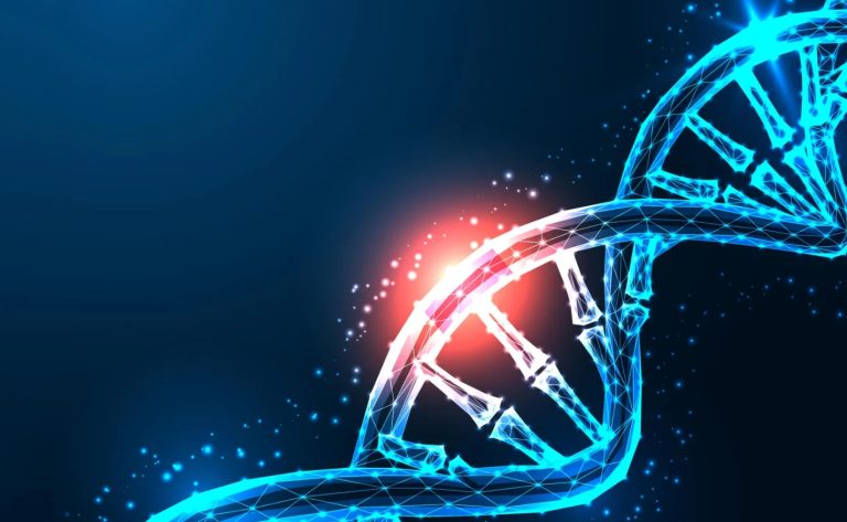 DNA