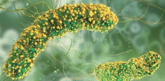 Επιστήμονές χάκαραν βακτήρια για να πολεμήσουν τον καρκίνο και να αυτοκαταστραφούν